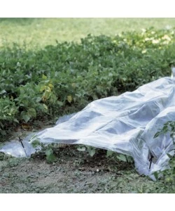 TELO FORZATURA TRASPARENTE 2X5M